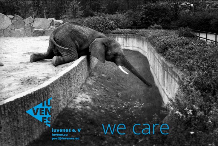 iuvenes_care